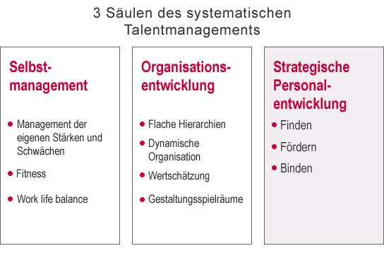 3 Säulen des Talentmanagements